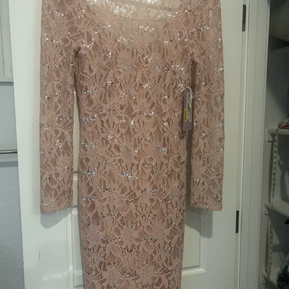Elegant Lace Sequin Dress in Blush Pink ๐ - Picture 1 of 14